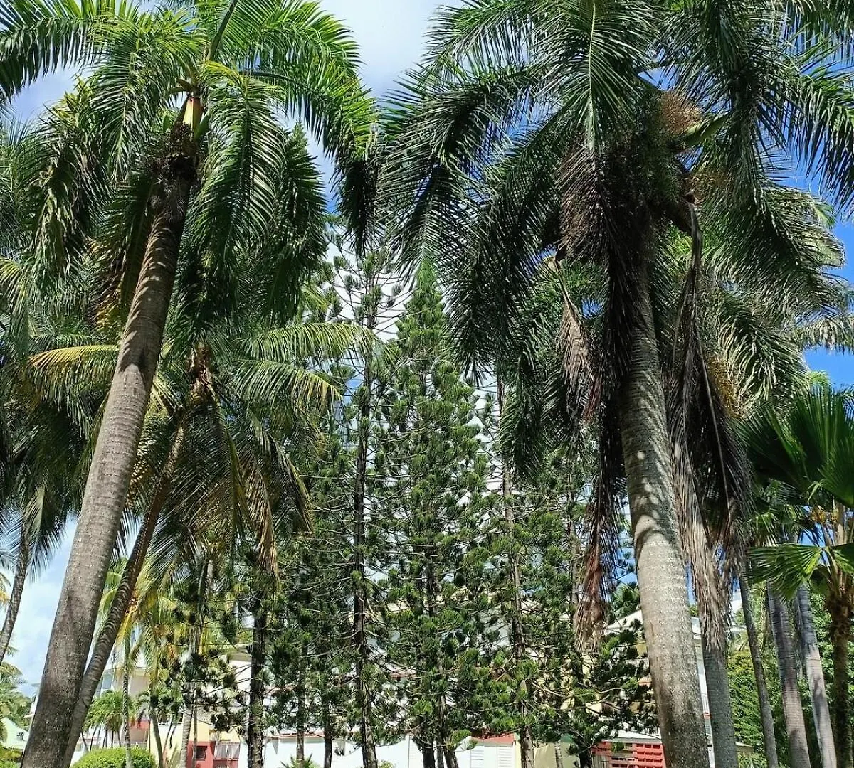 Ti Mabouya Appartement Saint Francois 0*, Saint-Francois (Grande-Terre)